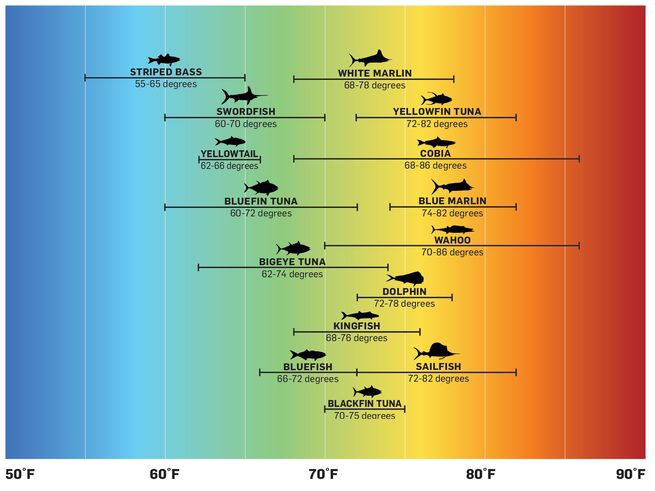 Fishing Water Temperature Chart