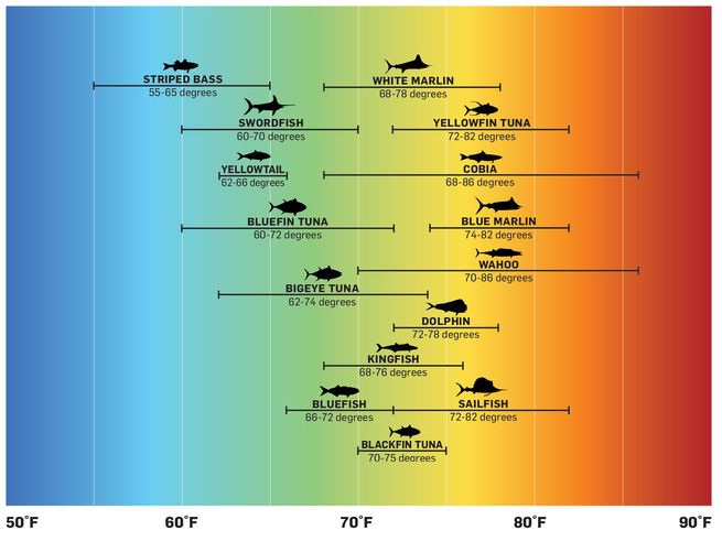 Saltwater Fish Temperature Chart